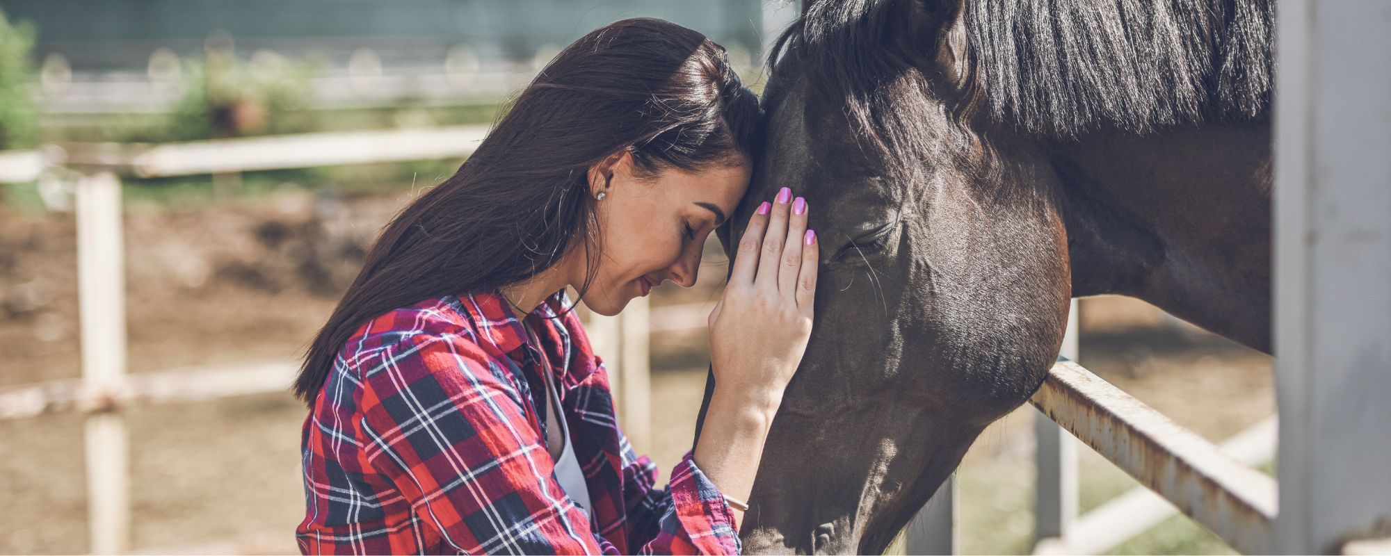 Equine Therapy in Arizona