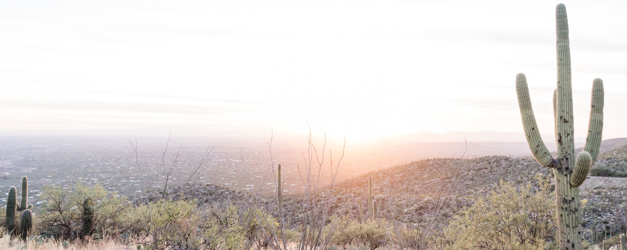 Alcohol Rehab That Takes Aetna in Prescott, AZ: Admission Requirements and First 72 Hours