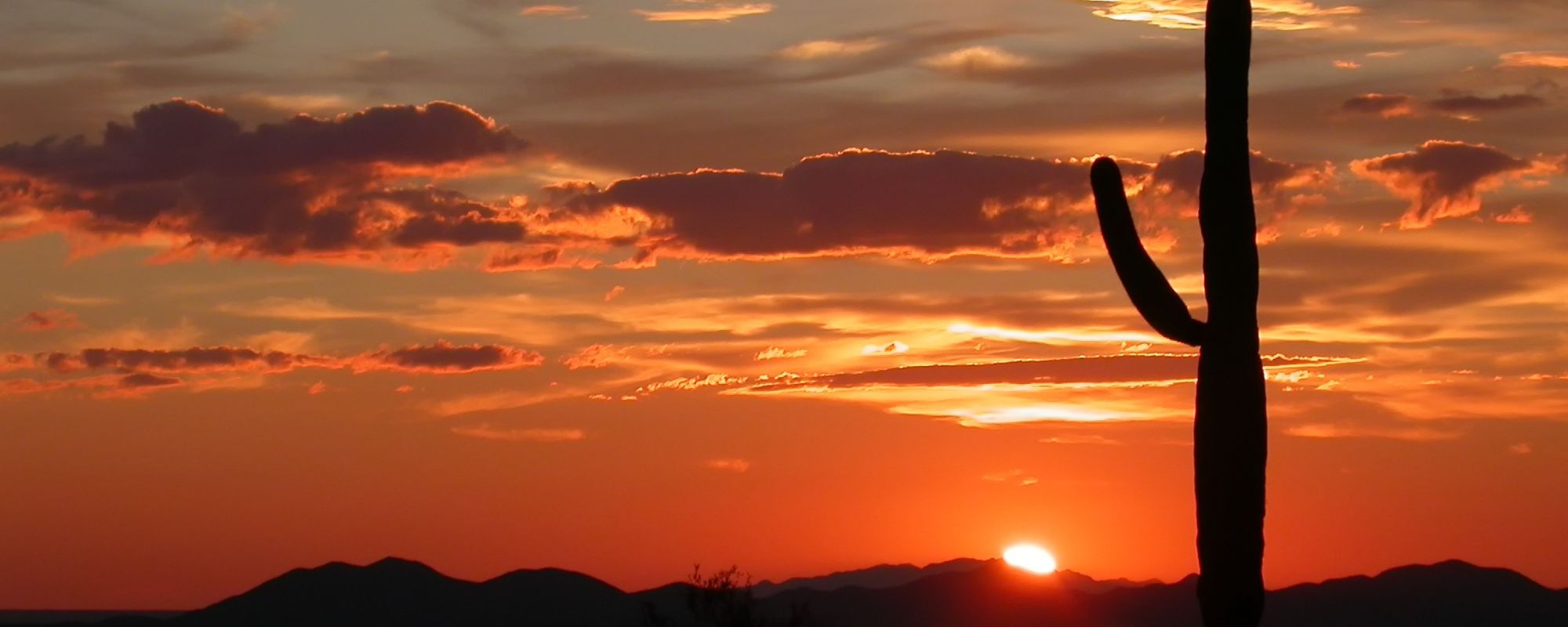 Detox Centers That Accept Aetna in Prescott, AZ: Same-Day Intake and Bed Availability